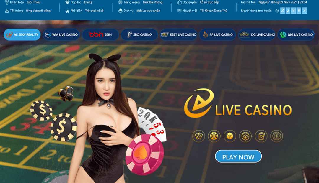 Hành trình phát triển sự nghiệp của AE Casino