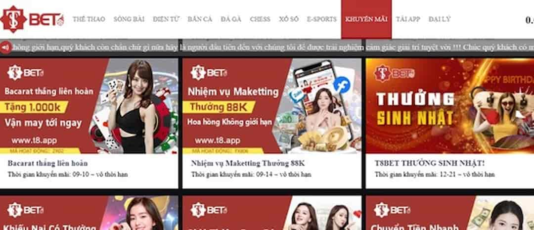 Kho trò chơi đa dạng, giao diện tinh tế của T8bet tạo sức hút 