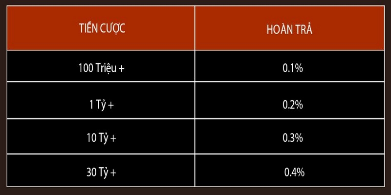 Quy tắc hoạt động