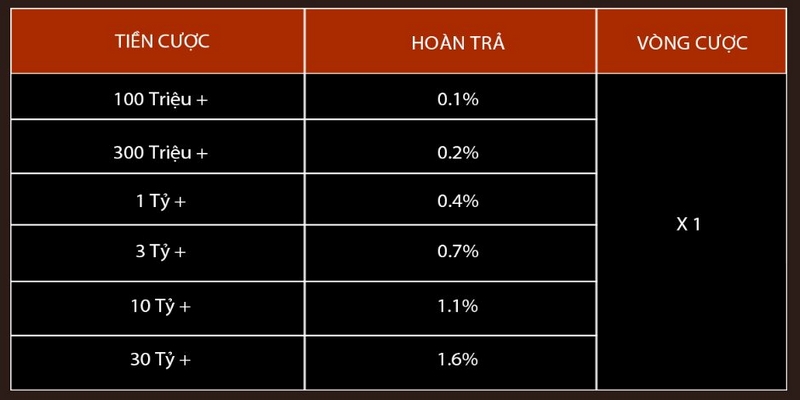 Quy tắc hoạt động