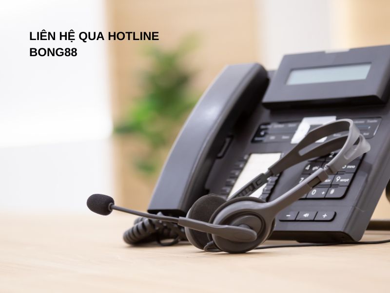 Liên hệ qua Hotline Bong88
